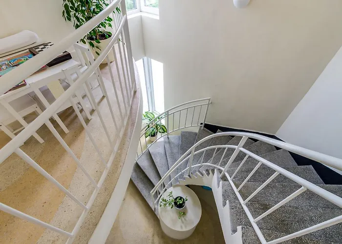 White Dove Golden Sands