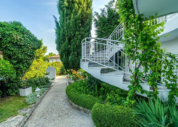 White Dove غولدن ساندز