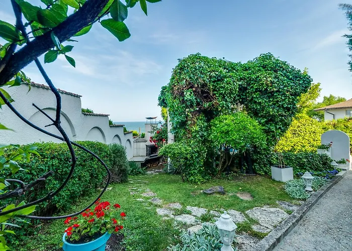 White Dove غولدن ساندز