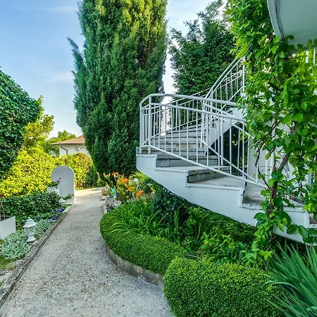 White Dove גולדן סנדס